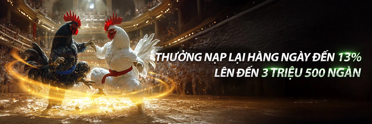Sân đá gà Thomo 13/10